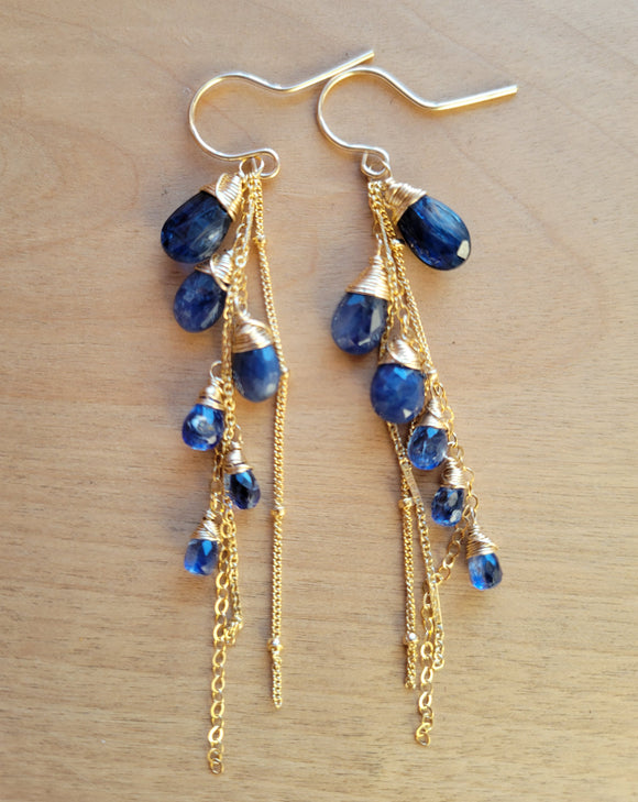 Blue Sapphire + Kyanite Earrings